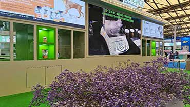 上海展臺(tái)搭建